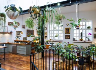 ‘Houseplants make me happy’: Jamie Song’s urban jungle